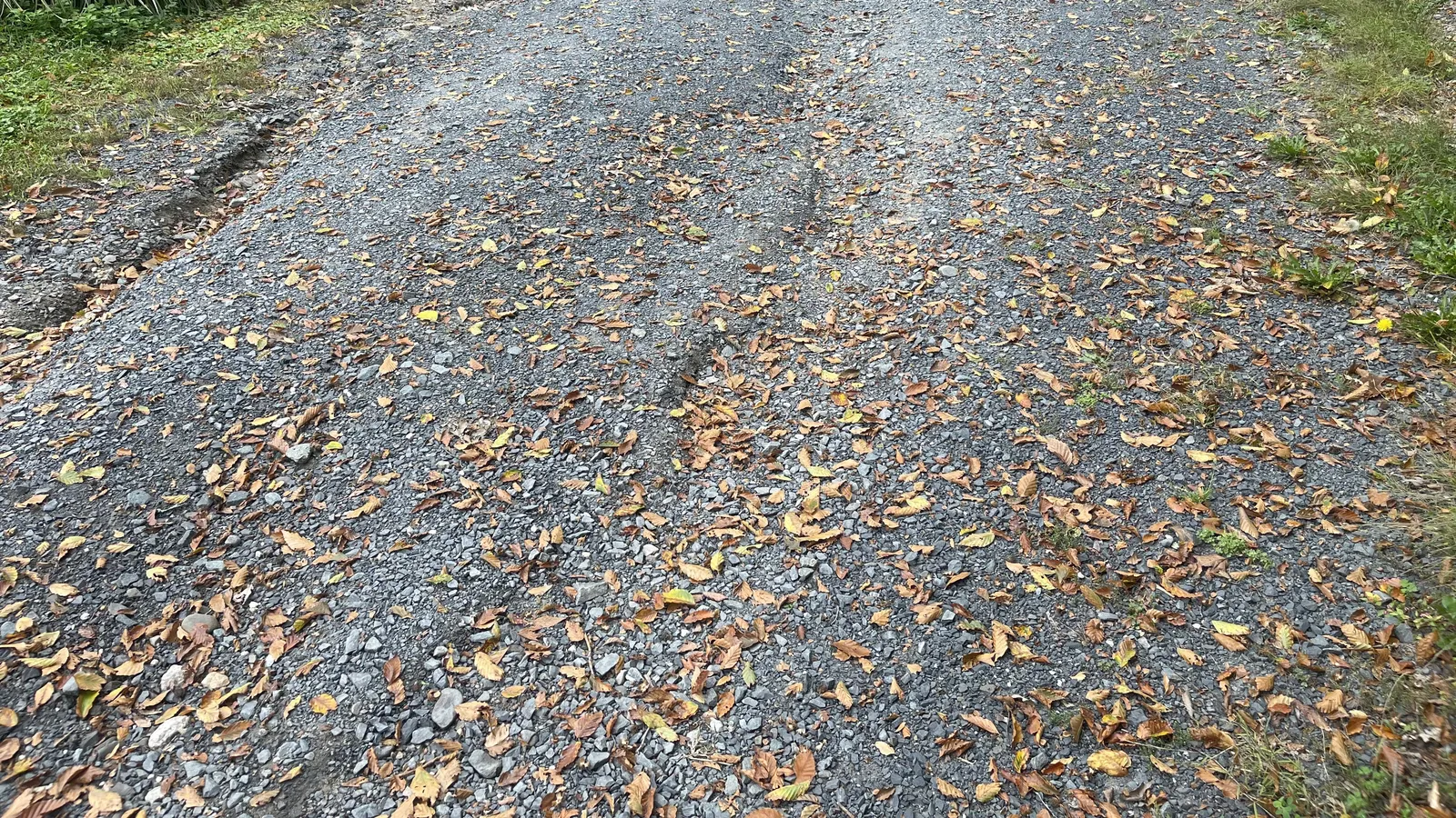 Worn gravel driveway with ruts and thinning stone along the tire tracks
