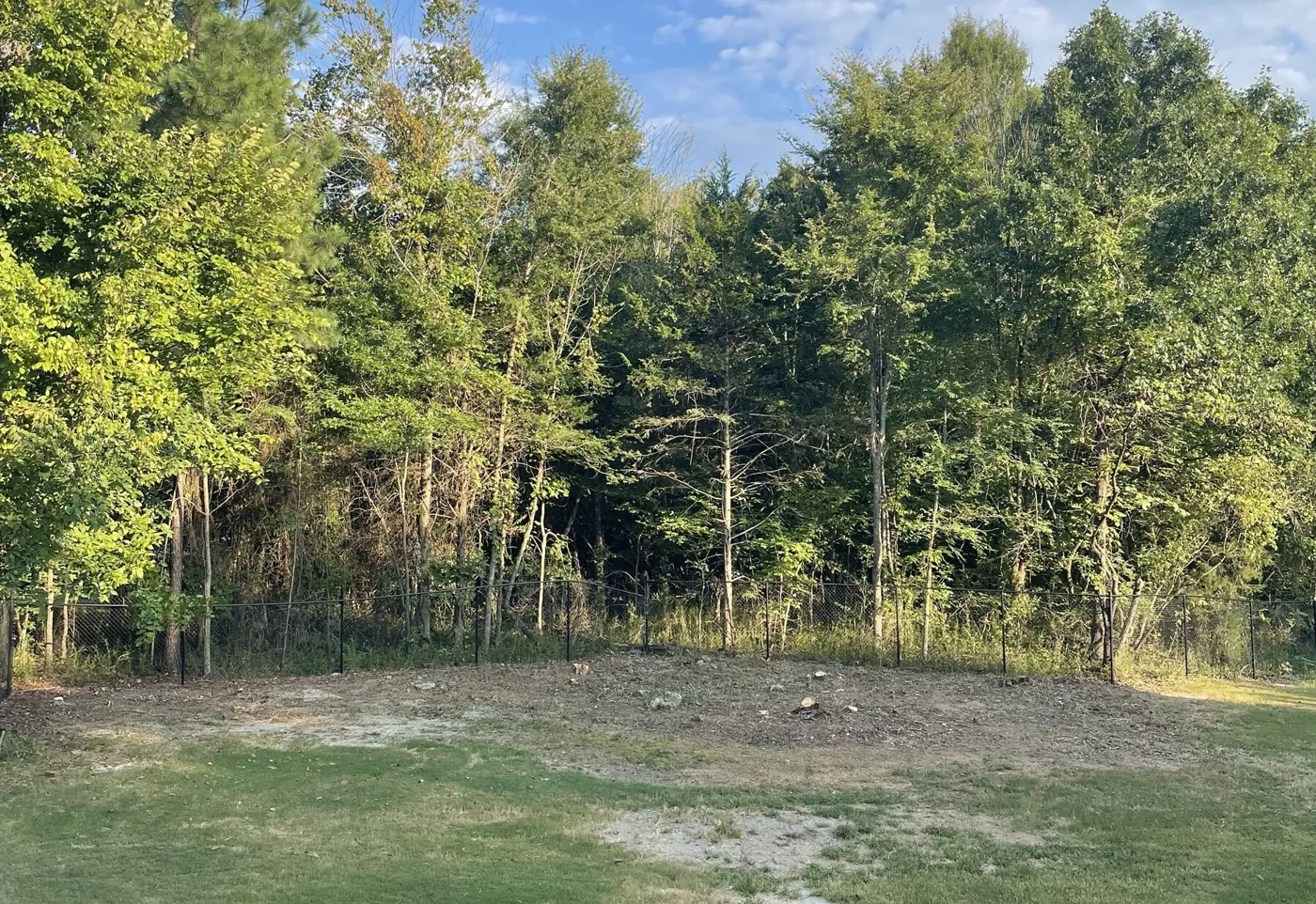 The same edge cut back to the fence line with the brush gone